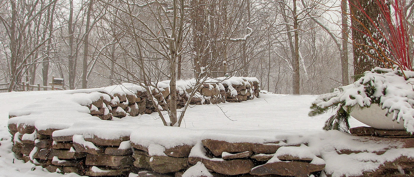 Staab and Olmsted Fine Garden Services